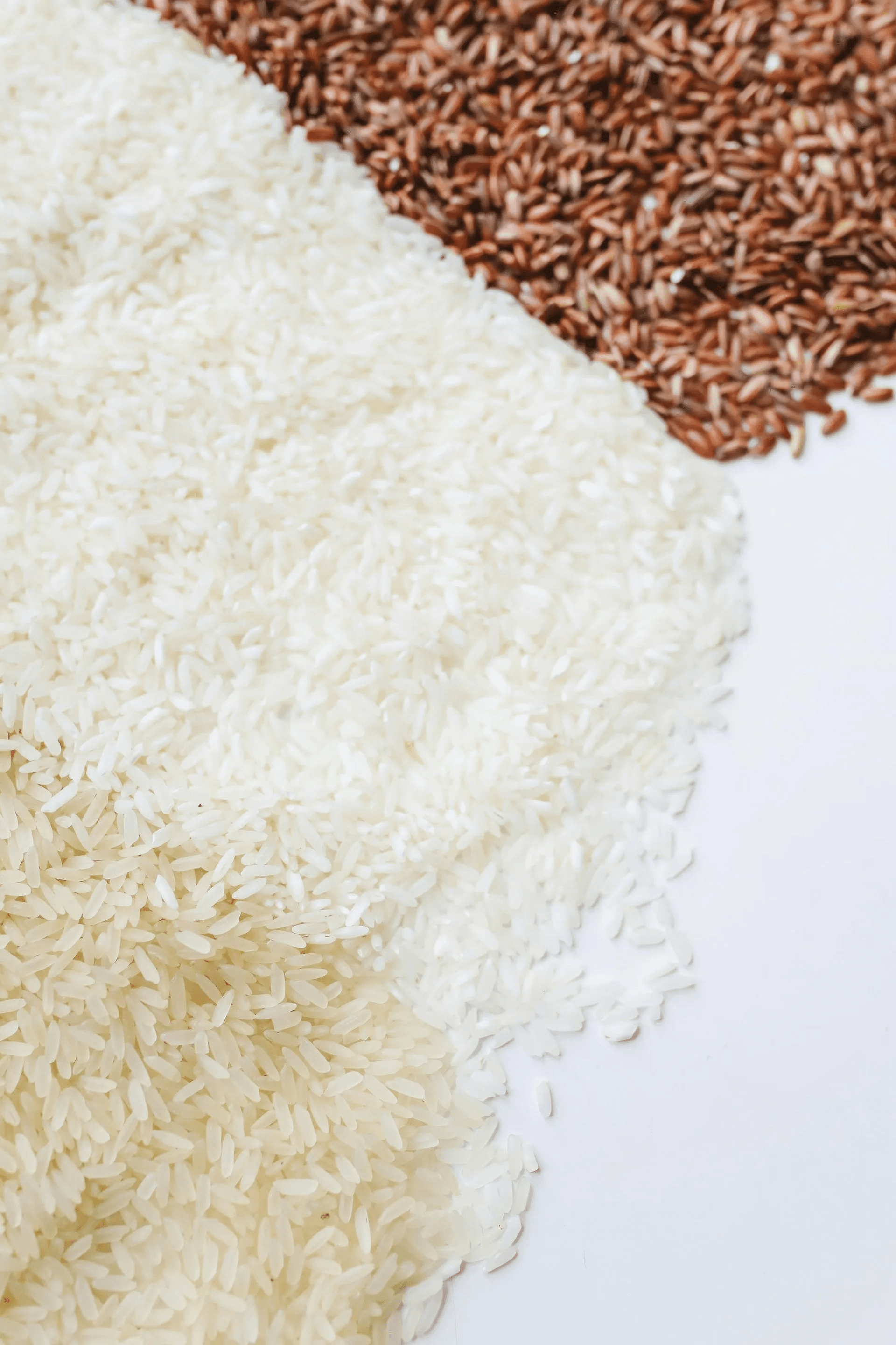 Premium Quality Rice Grains