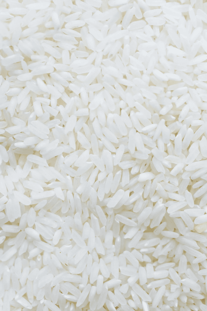 Finest Raw Rice Grains