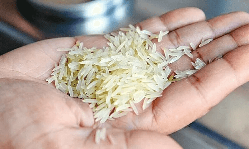 Fluffy Cooked Yellow Rice